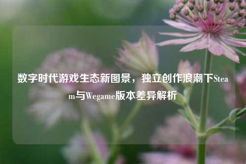 数字时代游戏生态新图景,独立创作浪潮下Steam与Wegame版本差异解析