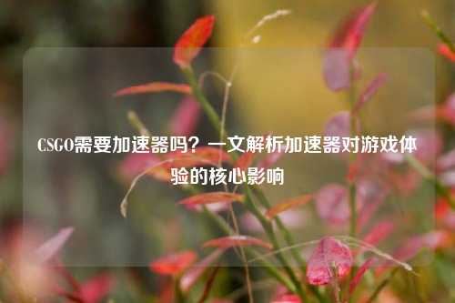 CSGO需要加速器吗?一文解析加速器对游戏体验的核心影响