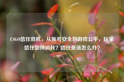 CSGO信任危机,从账号安全到游戏公平,玩家信任如何消耗?信任低该怎么办?