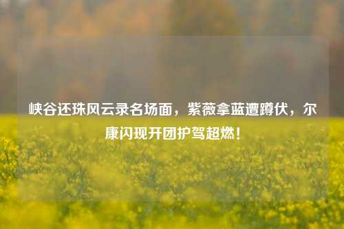 峡谷还珠风云录名场面,紫薇拿蓝遭蹲伏,尔康闪现开团护驾超燃!