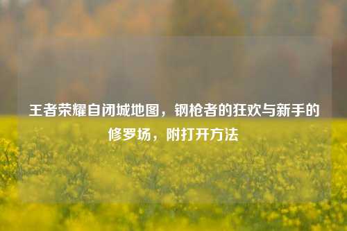 王者荣耀自闭城地图,钢枪者的狂欢与新手的修罗场,附打开 ***