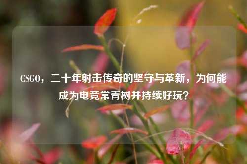 CSGO，二十年射击传奇的坚守与革新，为何能成为电竞常青树并持续好玩？