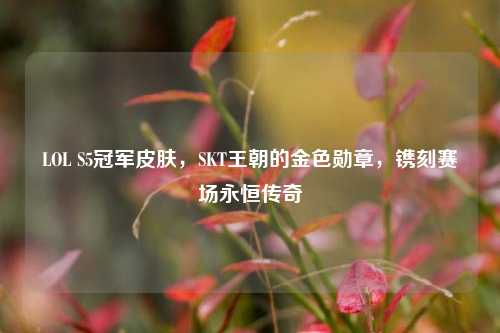 LOL S5冠军皮肤，SKT王朝的金色勋章，镌刻赛场永恒传奇