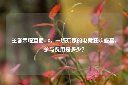 王者荣耀直播418,一场玩家的电竞狂欢盛宴,参与费用是多少?