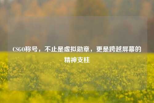 CSGO称号，不止是虚拟勋章，更是跨越屏幕的精神支柱