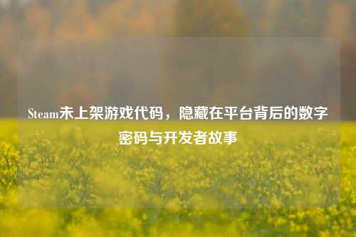 Steam未上架游戏代码，隐藏在平台背后的数字密码与开发者故事