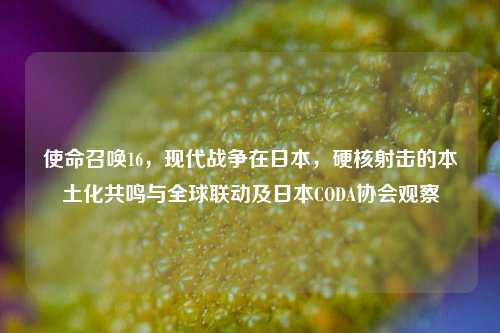 使命召唤16，现代战争在日本，硬核射击的本土化共鸣与全球联动及日本CODA协会观察