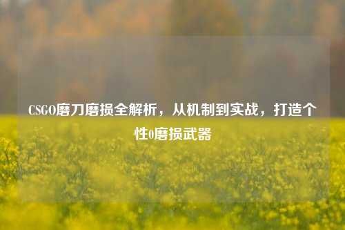 CSGO磨刀磨损全解析，从机制到实战，打造个性0磨损武器