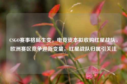CSGO赛事格局生变,电竞资本拟收购红星战队,欧洲赛区竞争迎新变量,红星战队归属引关注