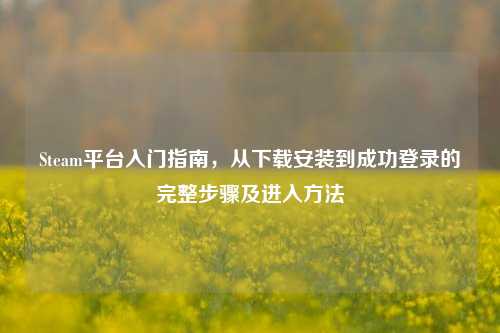 Steam平台入门指南,从下载安装到成功登录的完整步骤及进入 ***