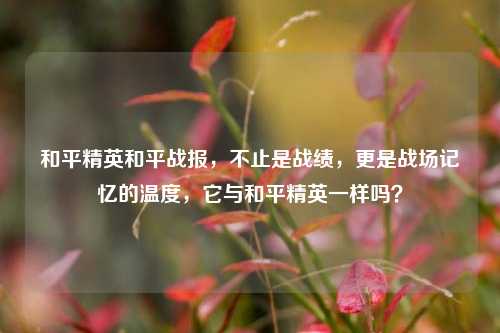 和平精英和平战报,不止是战绩,更是战场记忆的温度,它与和平精英一样吗?