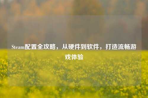 Steam配置全攻略，从硬件到软件，打造流畅游戏体验