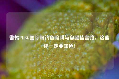 警惕PUBG国际服钓鱼陷阱与自瞄挂套路，这些你一定要知道！