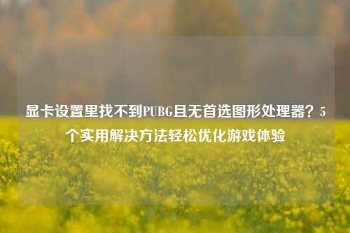显卡设置里找不到PUBG且无首选图形处理器？5个实用解决 *** 轻松优化游戏体验