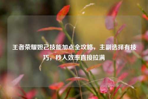 王者荣耀妲己技能加点全攻略,主副选择有技巧,秒人效率直接拉满