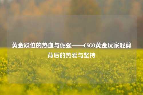 黄金段位的热血与倔强——CSGO黄金玩家混剪背后的热爱与坚持