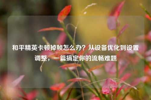 和平精英卡顿掉帧怎么办？从设备优化到设置调整，一篇搞定你的流畅难题