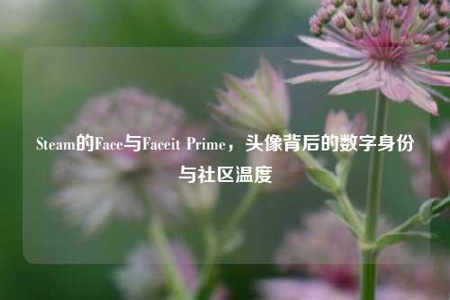 Steam的Face与Faceit Prime，头像背后的数字身份与社区温度
