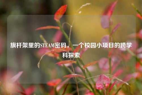 旗杆架里的STEAM密码，一个校园小项目的跨学科探索