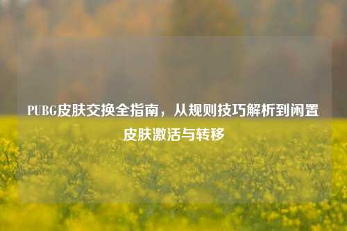 PUBG皮肤交换全指南，从规则技巧解析到闲置皮肤激活与转移
