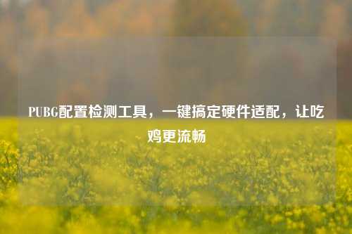 PUBG配置检测工具,一键搞定硬件适配,让吃鸡更流畅