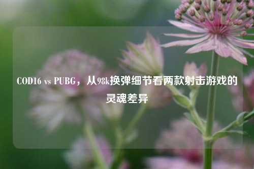 COD16 vs PUBG，从98k换弹细节看两款射击游戏的灵魂差异