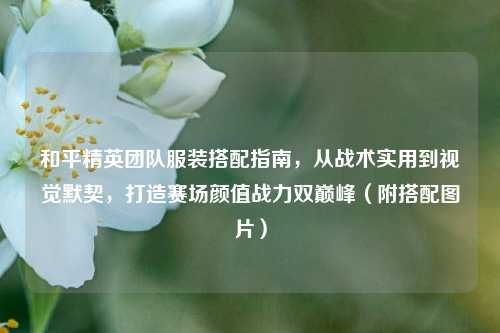 和平精英团队服装搭配指南，从战术实用到视觉默契，打造赛场颜值战力双巅峰（附搭配图片）