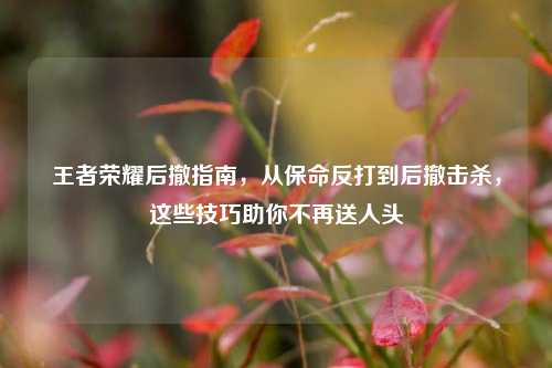 王者荣耀后撤指南，从保命反打到后撤击杀，这些技巧助你不再送人头