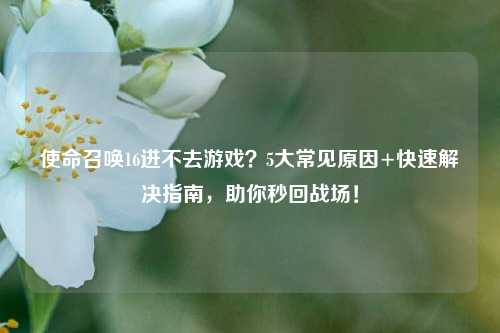 使命召唤16进不去游戏？5大常见原因+快速解决指南，助你秒回战场！