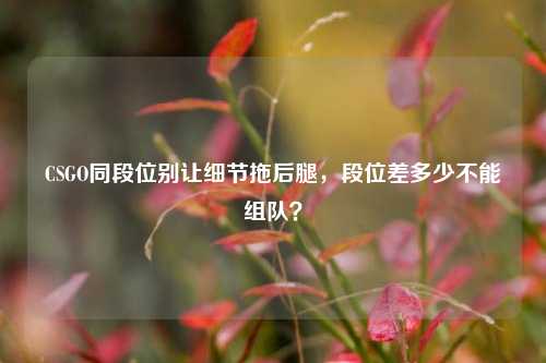 CSGO同段位别让细节拖后腿,段位差多少不能组队?