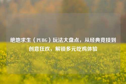 绝地求生（PUBG）玩法大盘点，从经典竞技到创意狂欢，解锁多元吃鸡体验