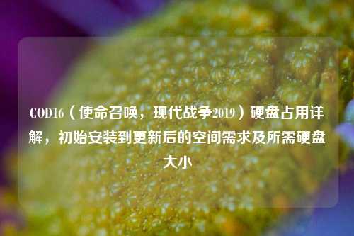 COD16(使命召唤,现代战争2019)硬盘占用详解,初始安装到更新后的空间需求及所需硬盘大小