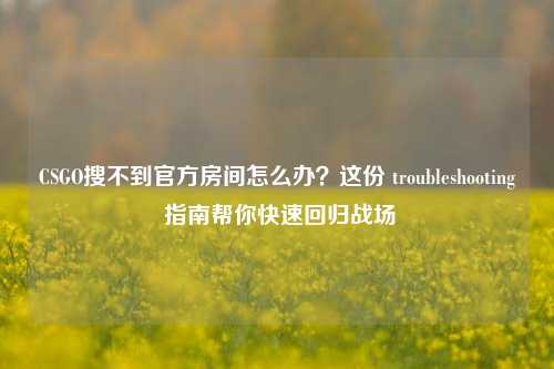 CSGO搜不到官方房间怎么办?这份 troubleshooting 指南帮你快速回归战场