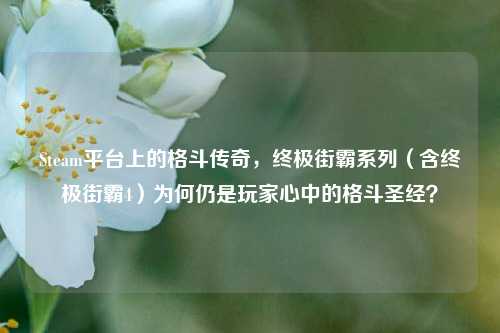 Steam平台上的格斗传奇,终极街霸系列(含终极街霸4)为何仍是玩家心中的格斗圣经?