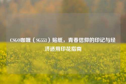 CSGO咖喱（SG553）贴纸，青春信仰的印记与经济适用印花指南