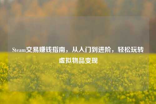 Steam交易赚钱指南,从入门到进阶,轻松玩转虚拟物品变现