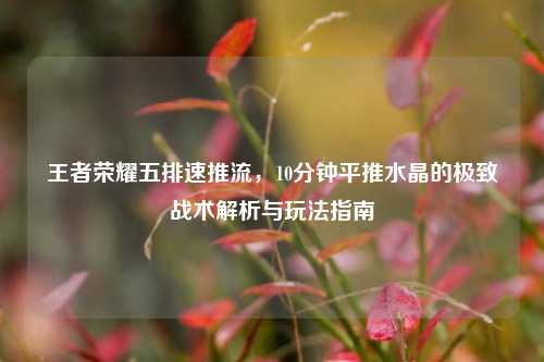 王者荣耀五排速推流,10分钟平推水晶的极致战术解析与玩法指南