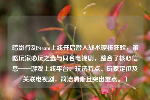 暗影行动Steam上线开启潜入战术硬核狂欢,策略玩家必玩之选与同名电视剧,整合了核心信息——游戏上线平台、玩法特点、玩家定位及关联电视剧,简洁清晰且突出重点。)
