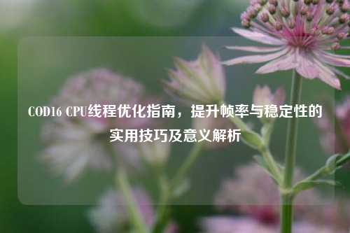 COD16 CPU线程优化指南,提升帧率与稳定性的实用技巧及意义解析