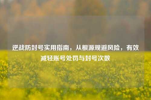 逆战防封号实用指南,从根源规避风险,有效减轻账号处罚与封号次数