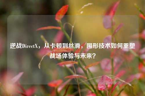 逆战DirectX，从卡顿到丝滑，图形技术如何重塑战场体验与未来？