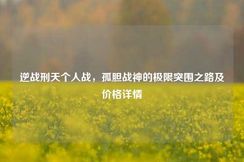 逆战刑天个人战,孤胆战神的极限突围之路及价格详情