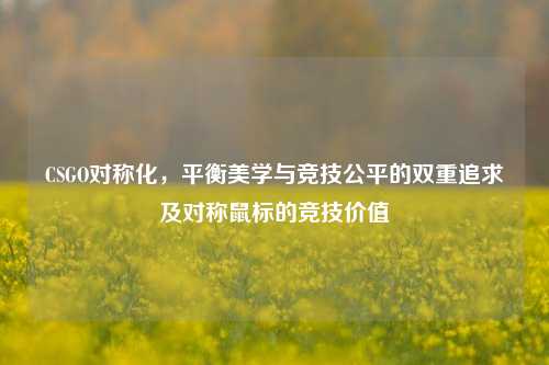 CSGO对称化,平衡美学与竞技公平的双重追求及对称鼠标的竞技价值