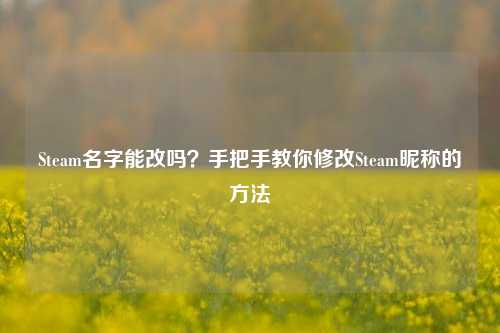 Steam名字能改吗?手把手教你修改Steam昵称的 ***