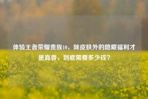 体验王者荣耀贵族10，除皮肤外的隐藏福利才是真香，到底需要多少钱？