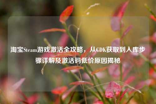  *** Steam游戏激活全攻略，从CDK获取到入库步骤详解及激活码低价原因揭秘