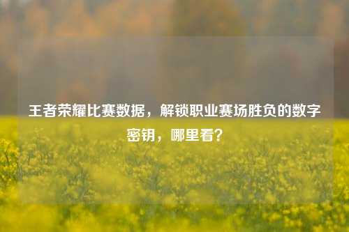 王者荣耀比赛数据，解锁职业赛场胜负的数字密钥，哪里看？