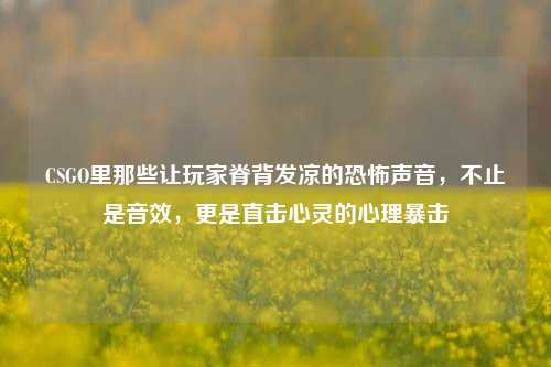 CSGO里那些让玩家脊背发凉的恐怖声音,不止是音效,更是直击心灵的心理暴击