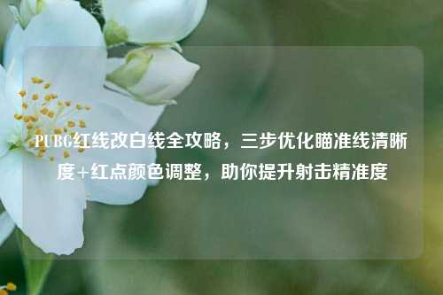 PUBG红线改白线全攻略,三步优化瞄准线清晰度+红点颜色调整,助你提升射击精准度