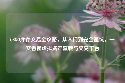 CSGO库存交易全攻略,从入门到安全避坑,一文看懂虚拟资产流转与交易平台